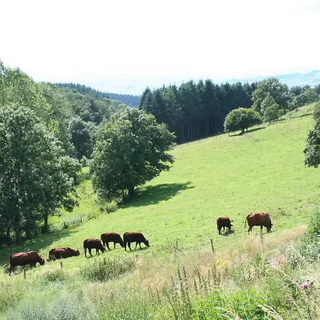 Goulapie, Village De * Saint-Quentin-sur-Sauxillanges