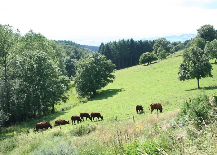 Goulapie, Village De * Saint-Quentin-sur-Sauxillanges
